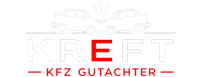 Light Logo